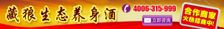 网站广告