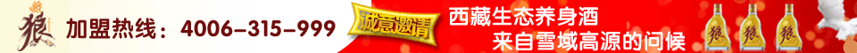 网站广告